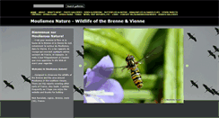 Desktop Screenshot of nick-ransdale.com